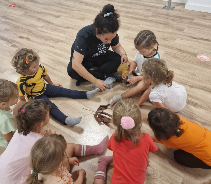 PROGRAMAS Y CURSOS 1